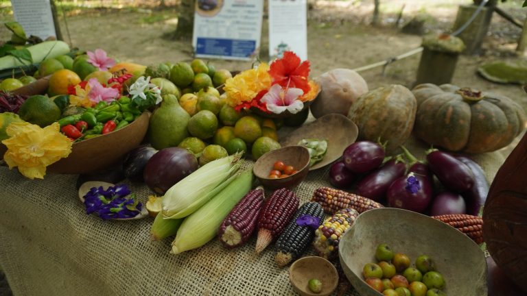 Bienestar con raíces profundas y prácticas sencillas